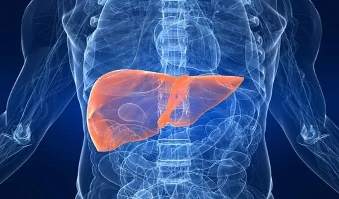 Rencontre Thématique N°3 : dernières actualités sur les hépatites